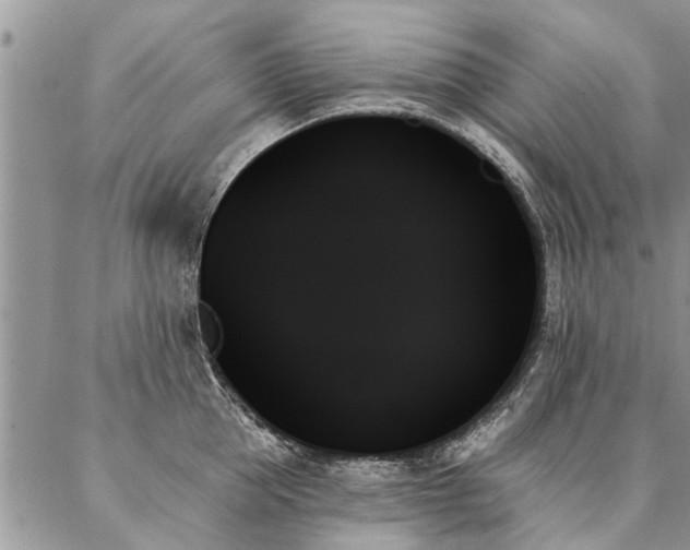 X0000087350953200704201119