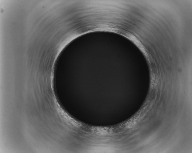 X0000087350955200704201119