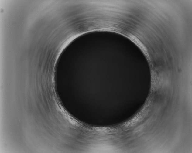 X0000087350956200704201119