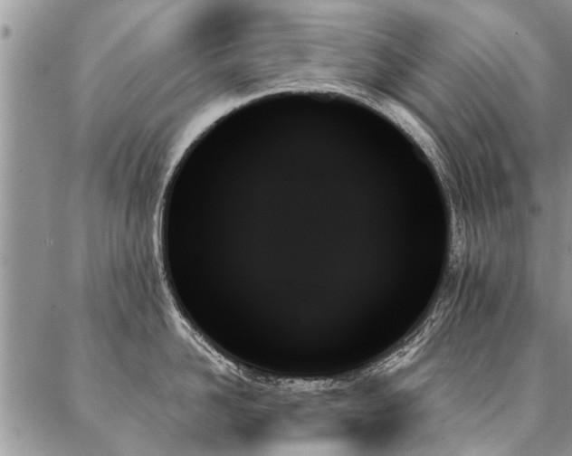 X0000087350958200704201119