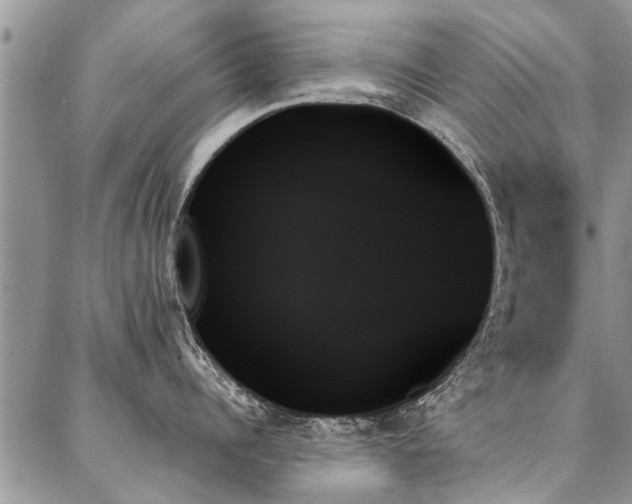 X0000087350960200704201119