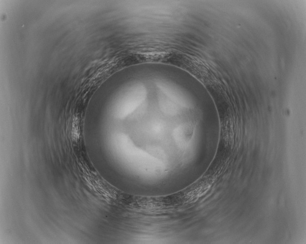 X0000087350962200704201118