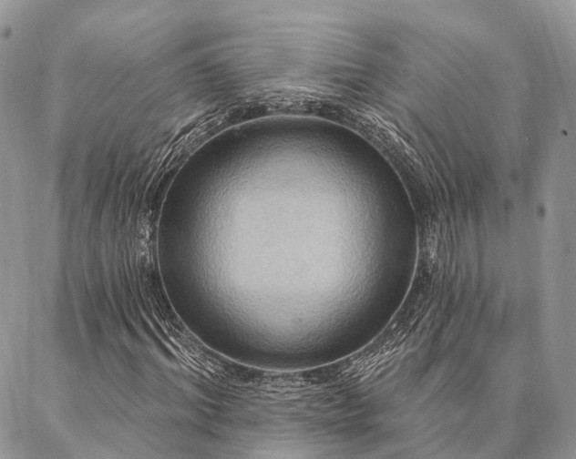 X0000087350964200704201118