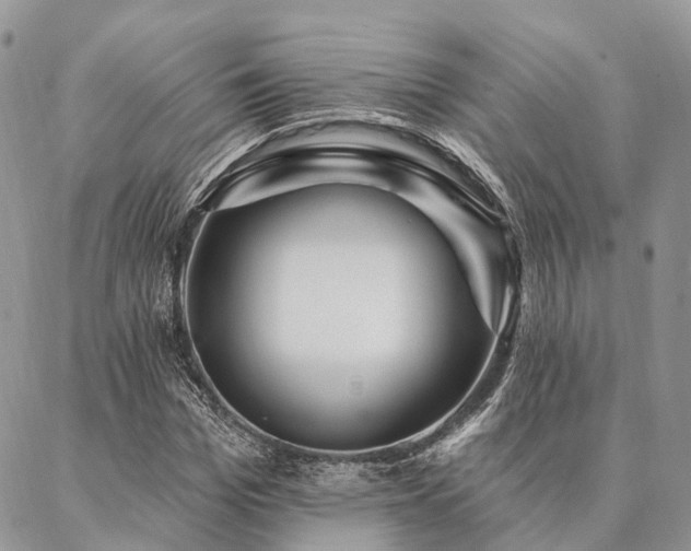 X0000087350969200704201118