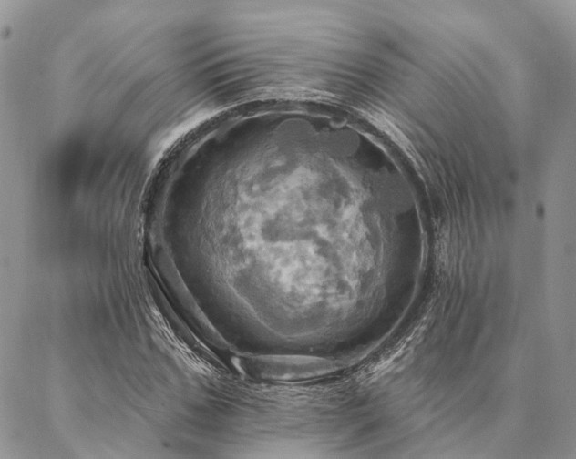 X0000087350971200704201118
