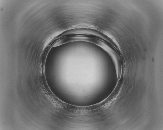 X0000087350973200704201118