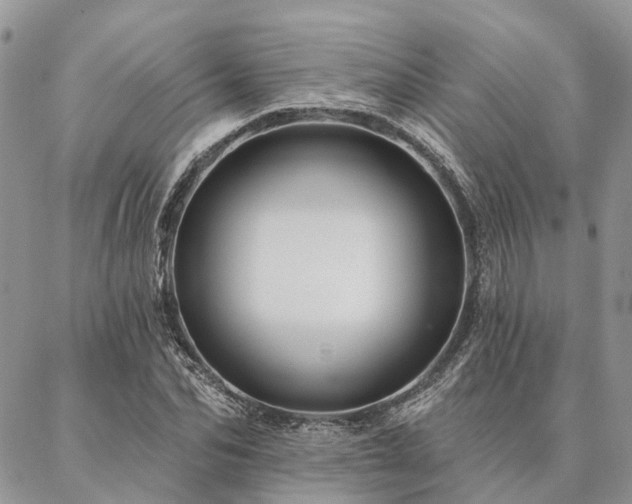 X0000087350974200704201118
