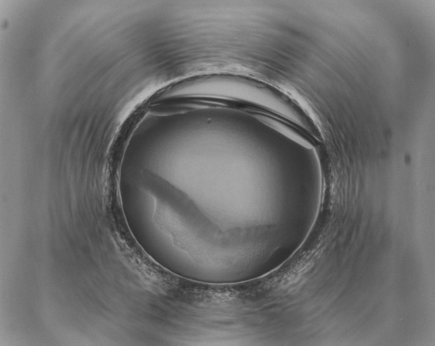 X0000087350975200704201118