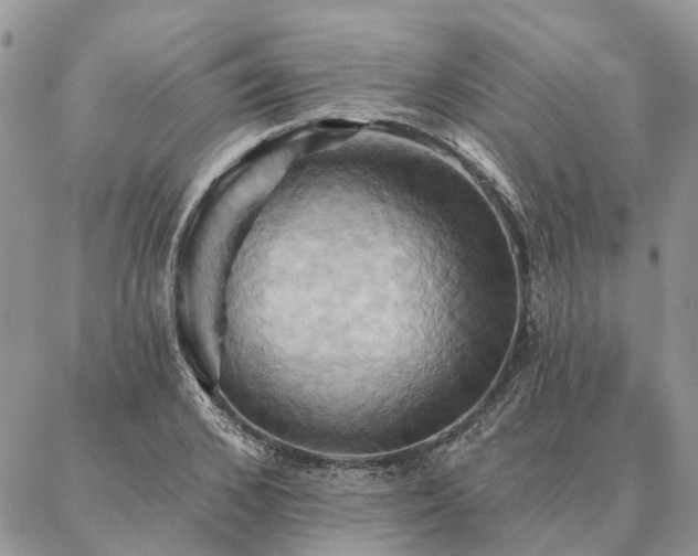 X0000087350976200704201118