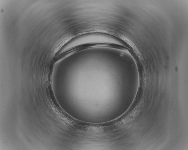X0000087350977200704201118