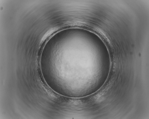 X0000087350978200704201118