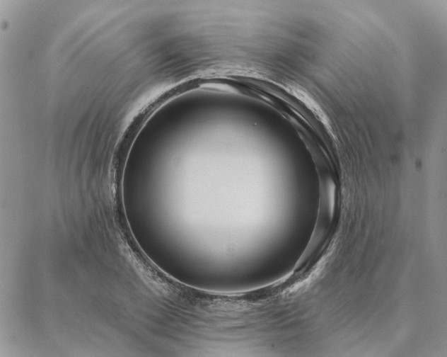 X0000087350981200704201118
