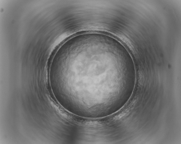X0000087350982200704201118