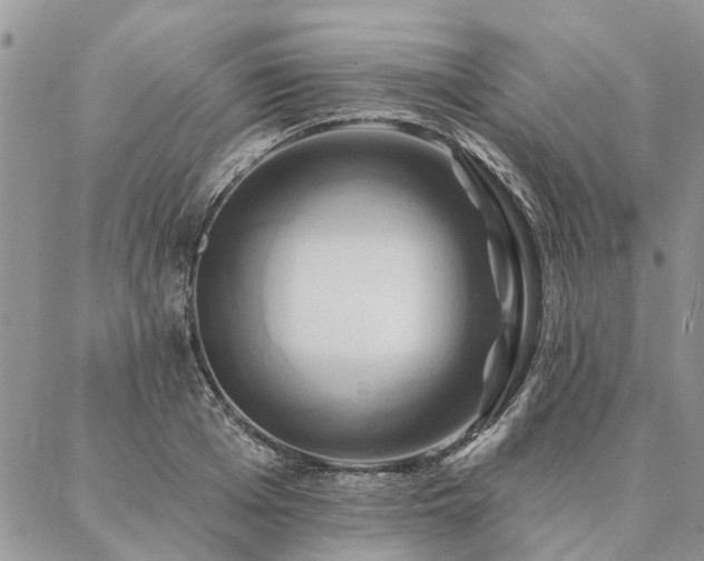X0000087350985200704201118