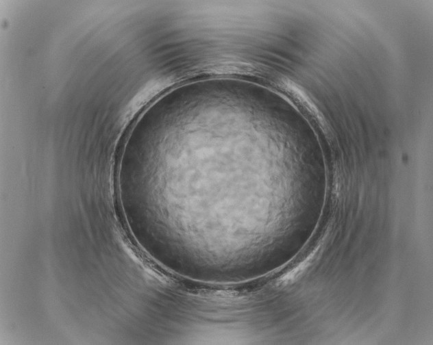 X0000087350986200704201118