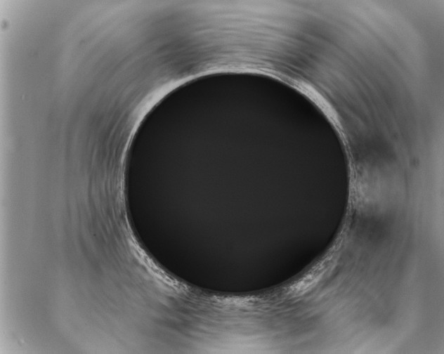 X0000087351004200704201117
