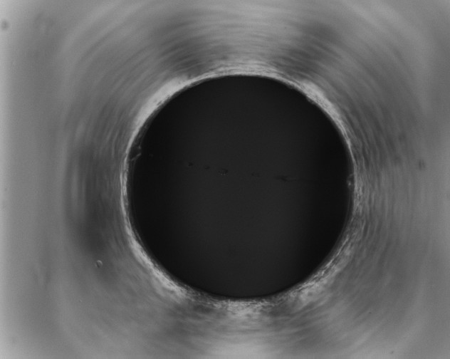 X0000087351005200704201117