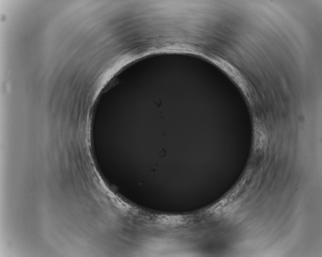 X0000087351006200704201117