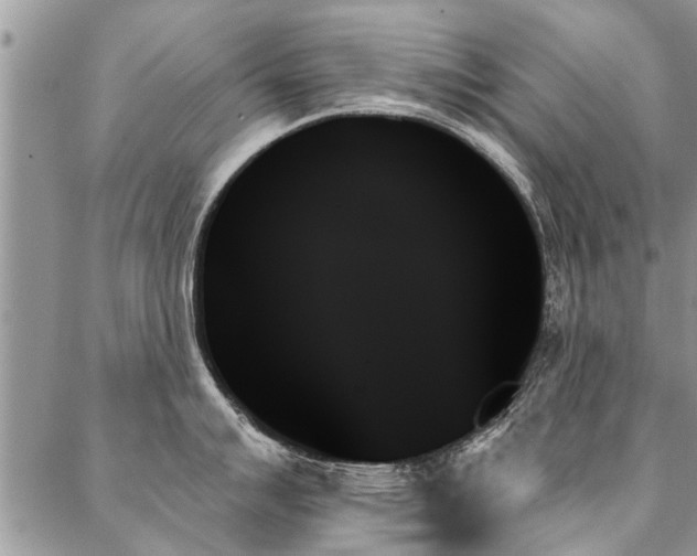 X0000087351007200704201117