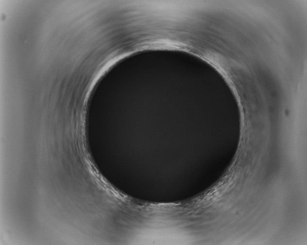 X0000087351008200704201117