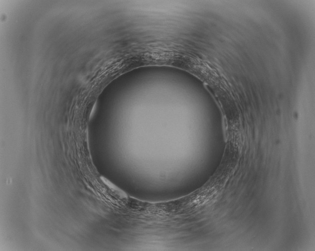 X0000087351009200704201116