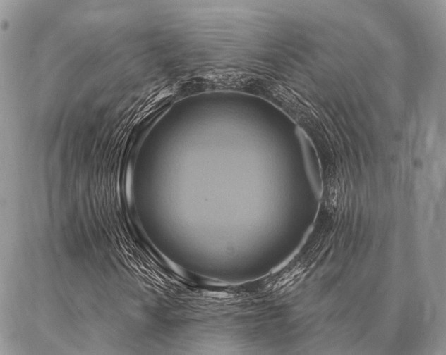 X0000087351010200704201116