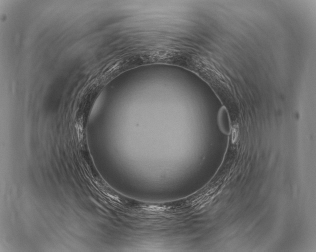 X0000087351011200704201116