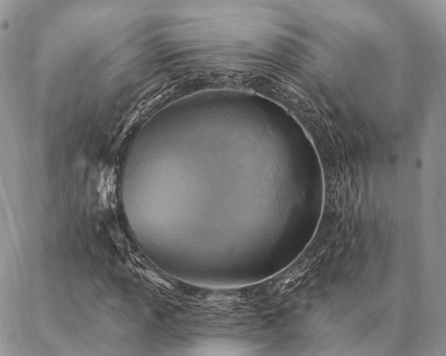 X0000087351013200704201116