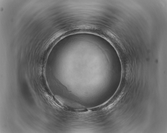 X0000087351017200704201117