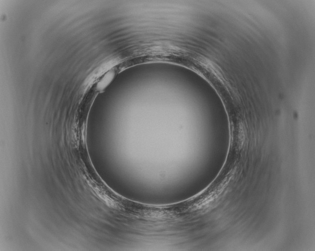 X0000087351018200704201117