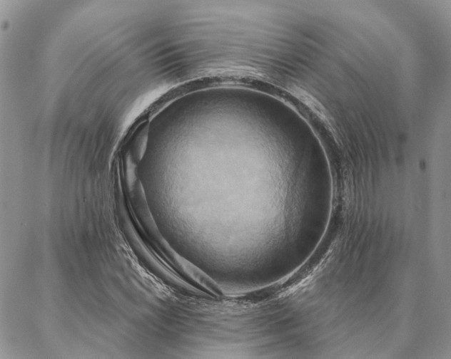 X0000087351022200704201117