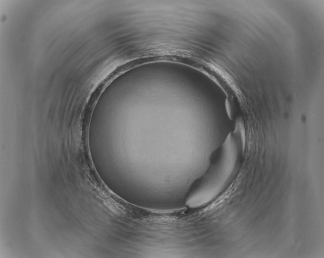 X0000087351023200704201117