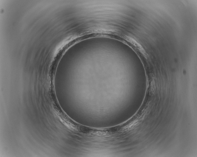 X0000087351027200704201117