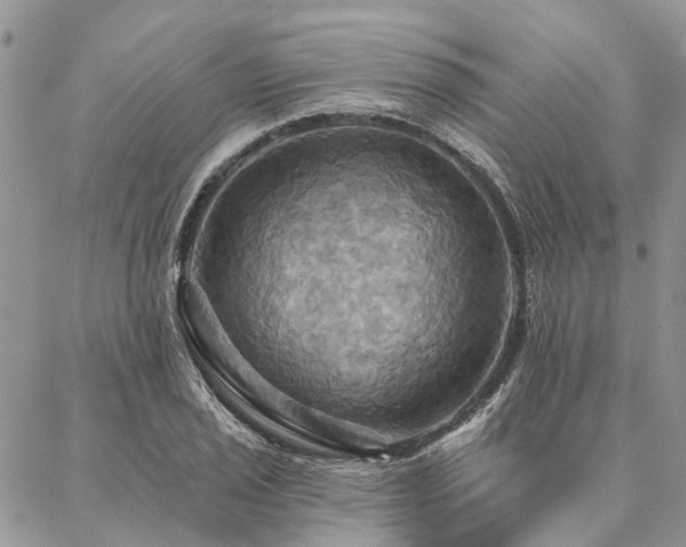 X0000087351029200704201117