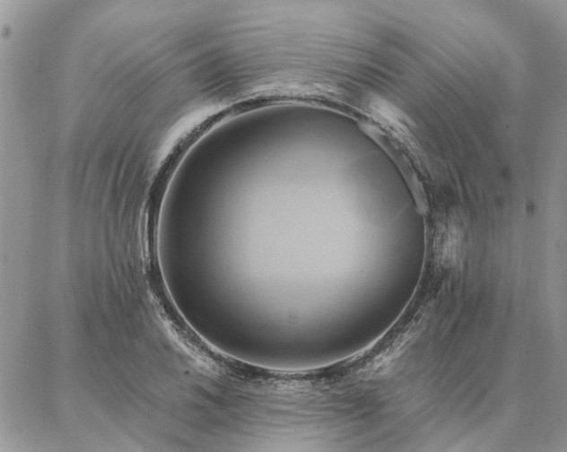 X0000087351030200704201117