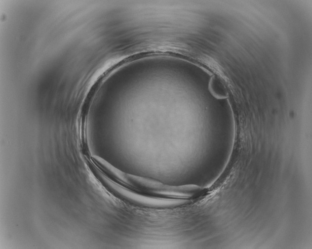 X0000087351032200704201117