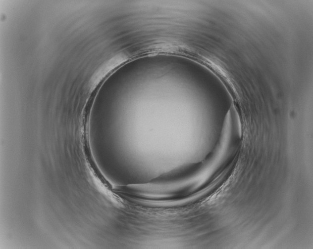 X0000087351042200704201117