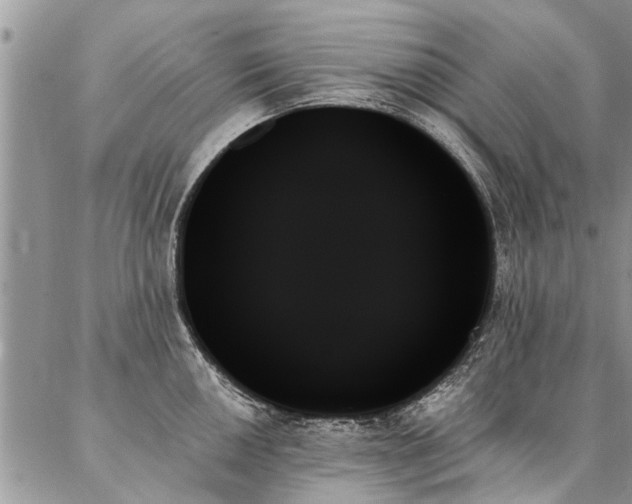 X0000087351050200704201117