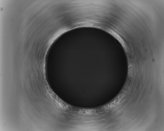 X0000087351051200704201117