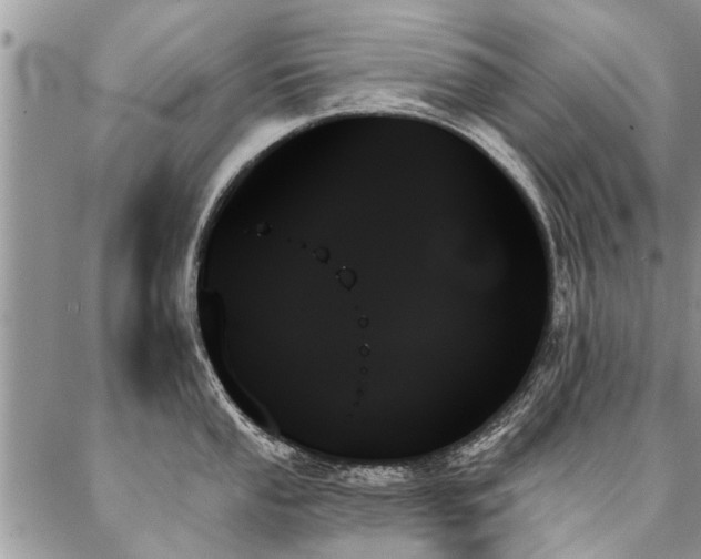 X0000087351053200704201117