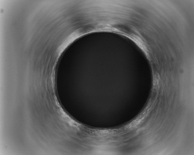 X0000087351054200704201117