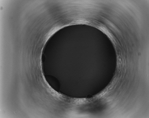 X0000087351055200704201117