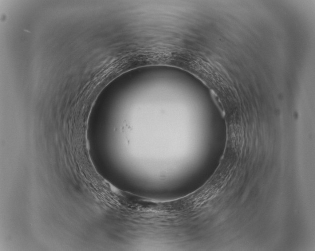 X0000087351057200704201116