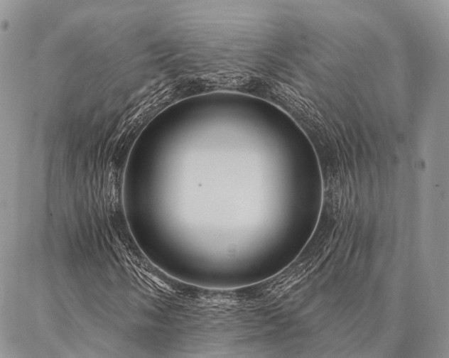 X0000087351058200704201116