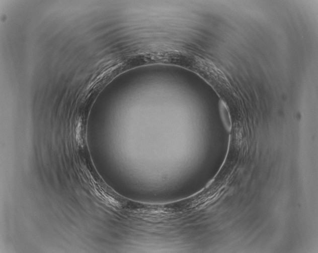 X0000087351060200704201116