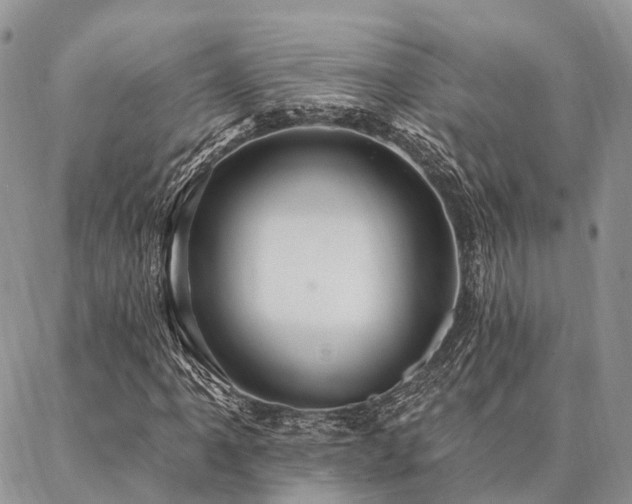 X0000087351061200704201116