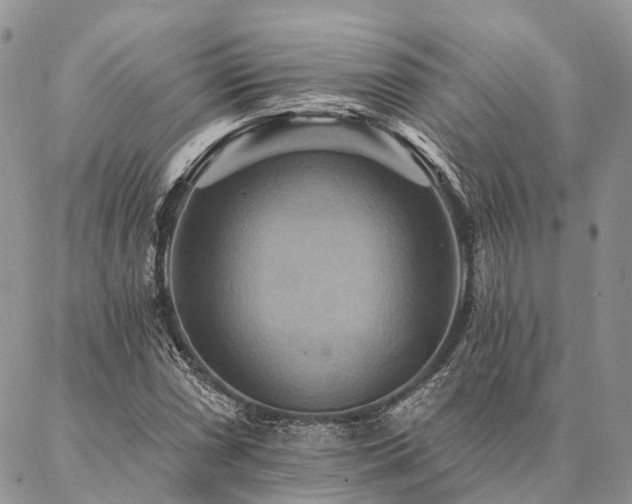 X0000087351066200704201116