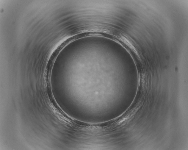 X0000087351068200704201116