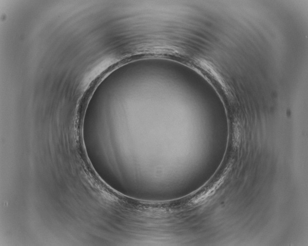X0000087351071200704201116