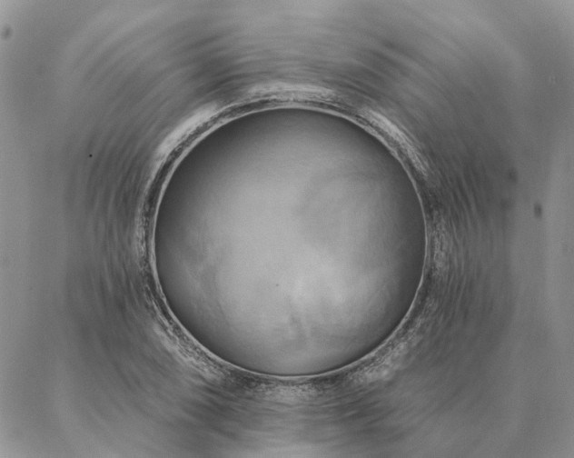 X0000087351074200704201116